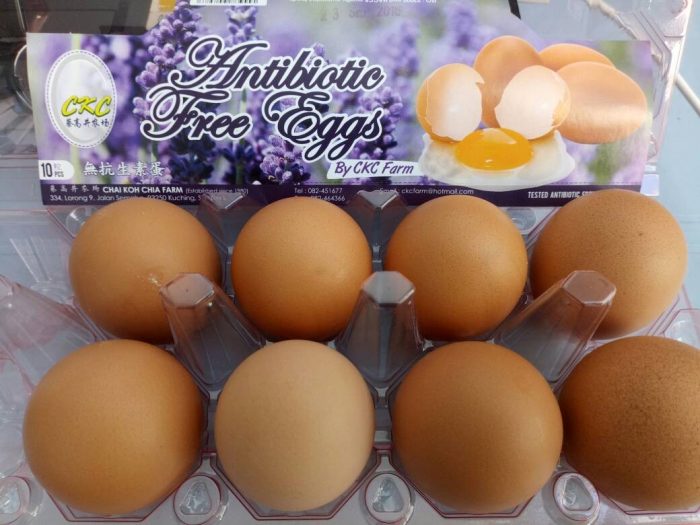 Telur Ayam Bebas Antibiotik