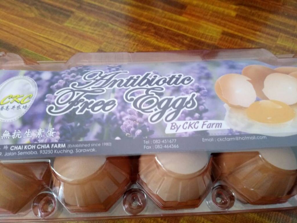 Telur bebas antibiotik